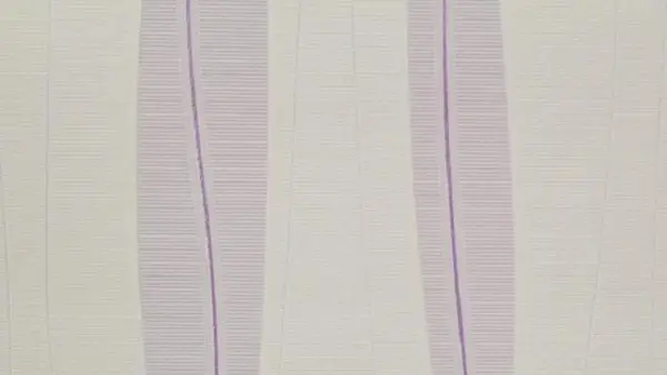 Rasch tapeta 498905, dezen pruge